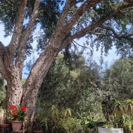 Villa Il Borghetto Country Charme *